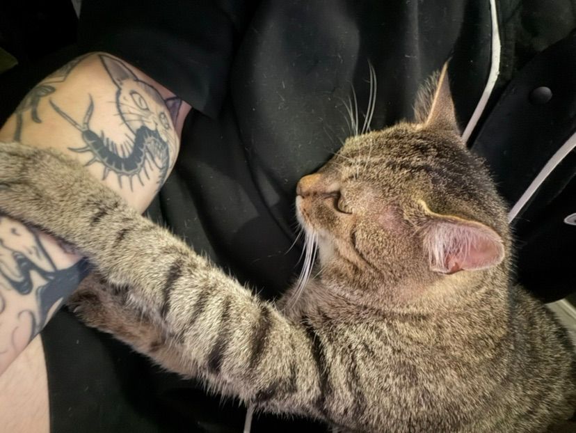 chilling with my furry buddy🤍