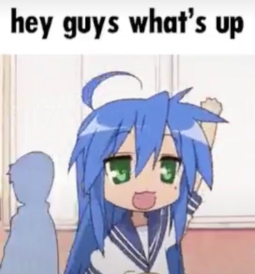 good morning everynyan 🌤️🤍