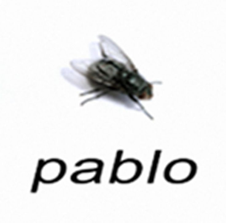 Meet pablo