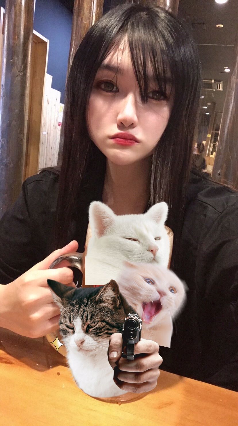 Come talk to your local Japanese girl 🐈💝