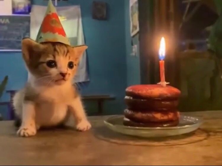 It’s my Birthday 🥳🎉