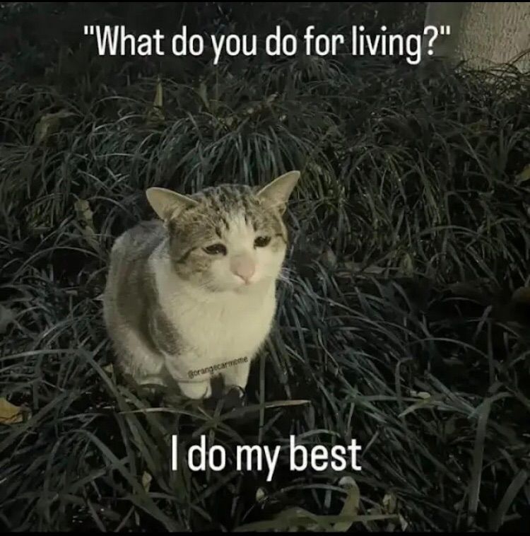 <3
