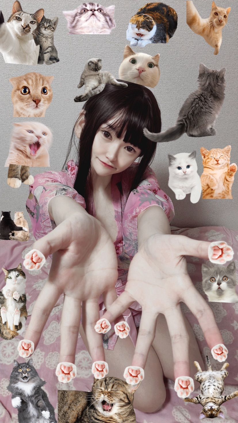 Come hang out with the Japanese kitty🐈💝