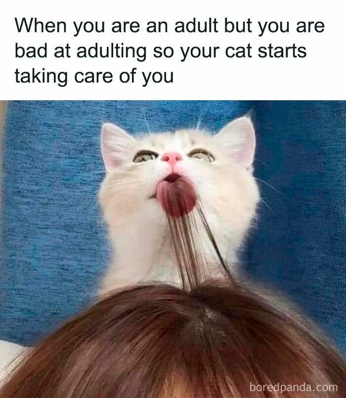 <3