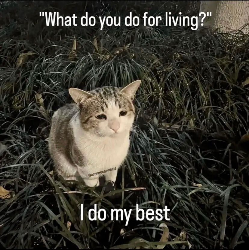 <3