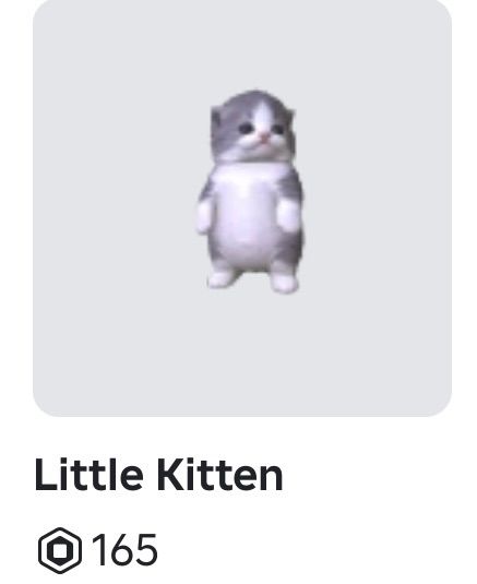 I want this roblox skin |ूᐕ)