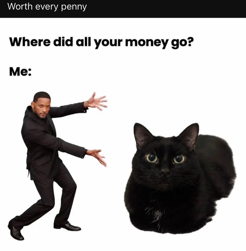 ฅ^•ω•^ฅ