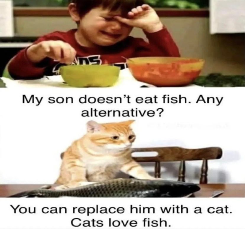 meow
