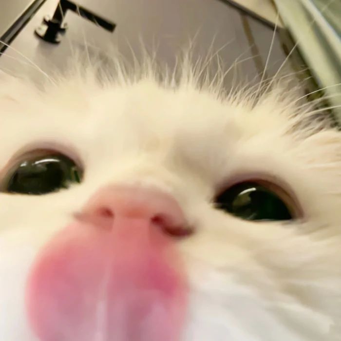 who wants to steal me all day tmr ^-^