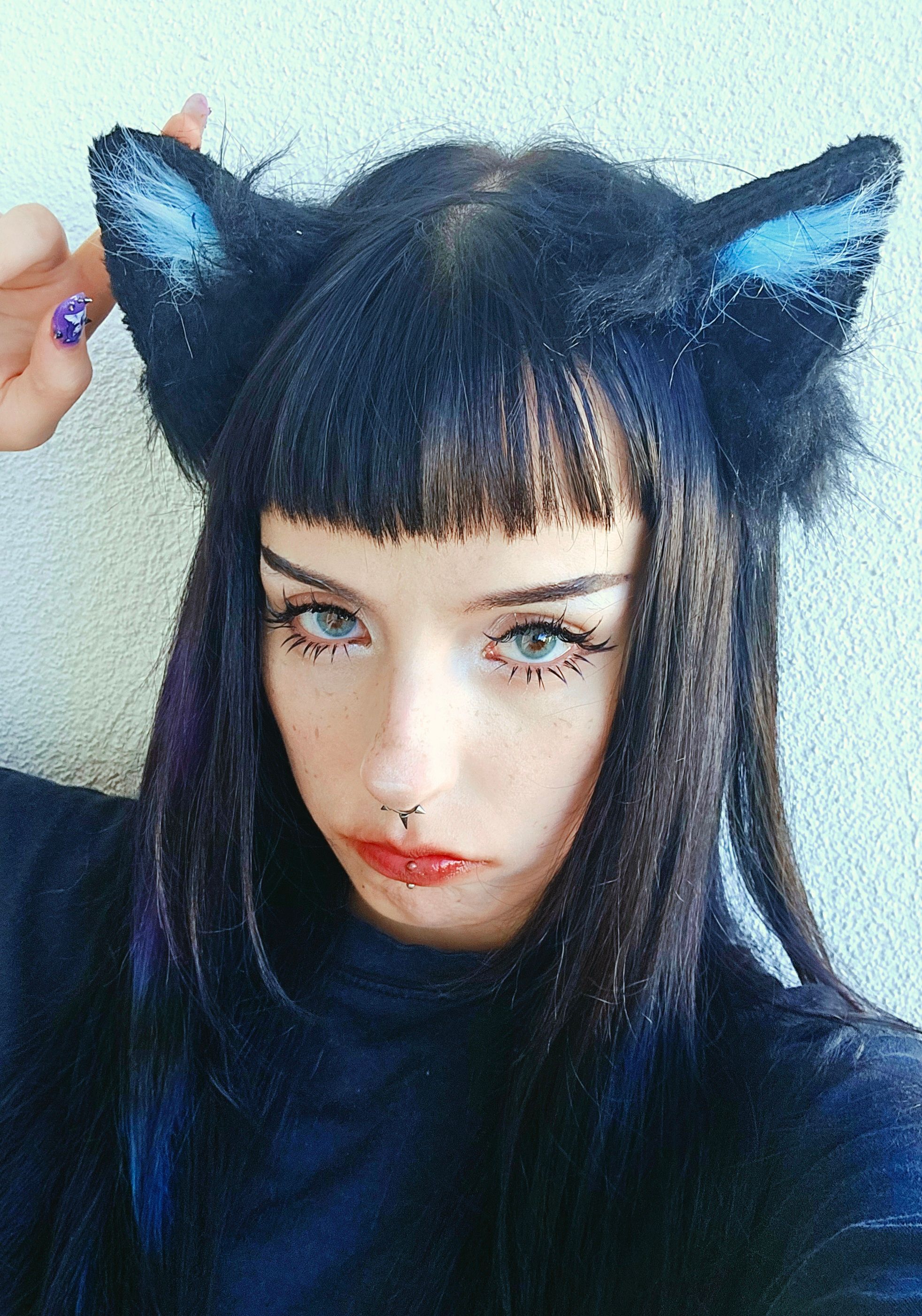 Looking for new kitty?
