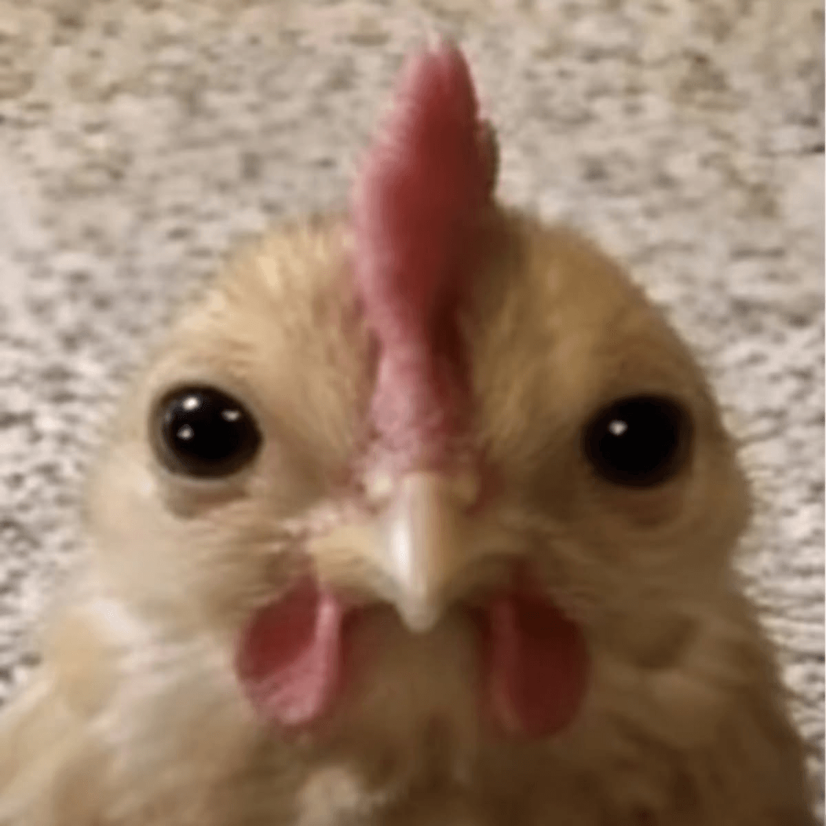 ?