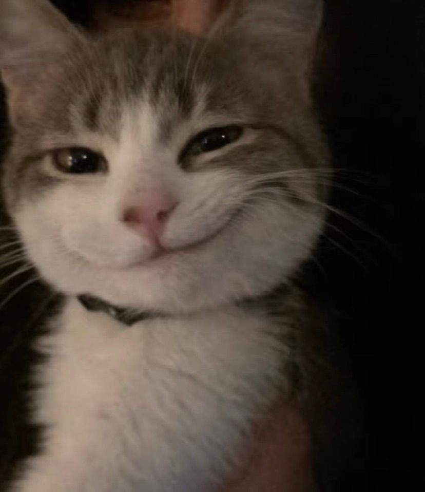💕