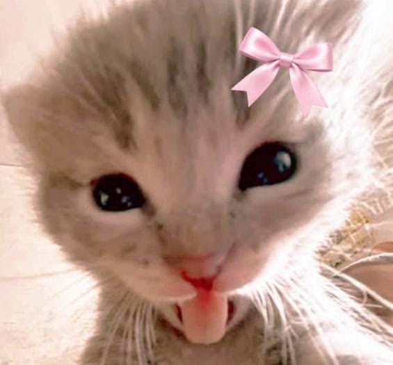 💕