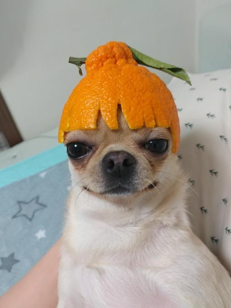 🍂