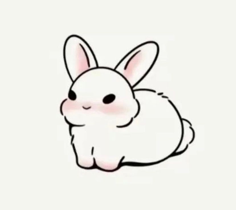 🐰