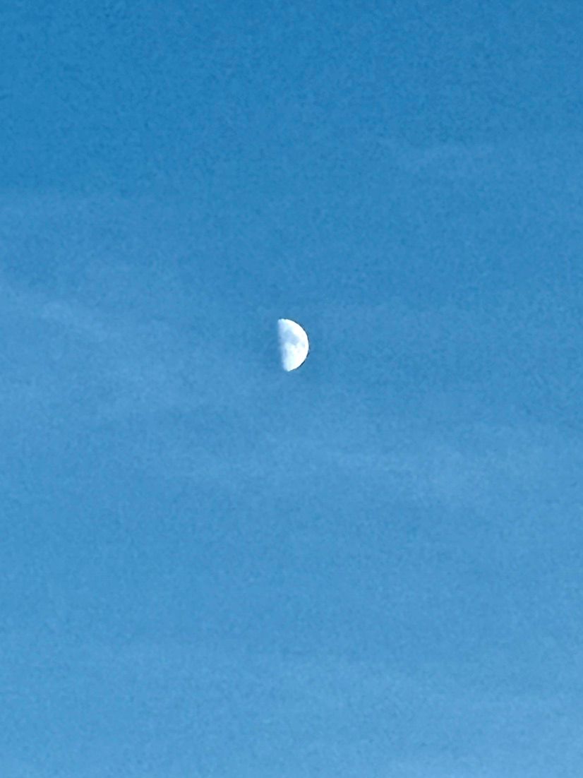 moon~