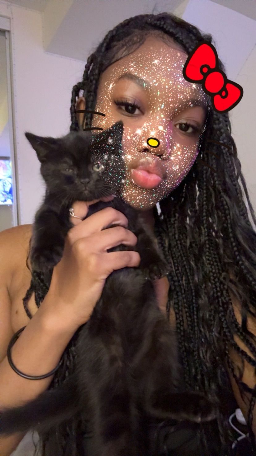 just got a cute cat