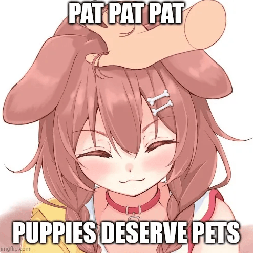 ୨୧ ˚₊‧꒰ა 🐾 puppy’s hiatus notice ໒꒱‧₊˚ ୨୧