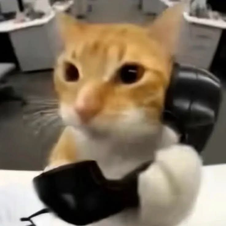 Wanna call? <3