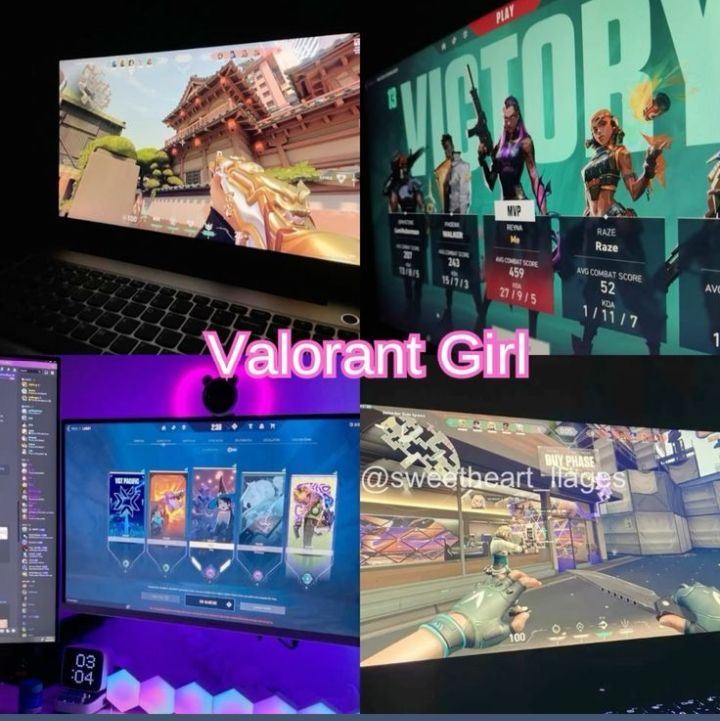 Certified Valorant addicted girl