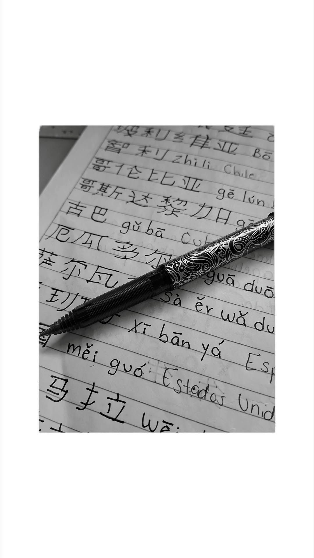 Learning Chinese is my favorite activity now 𑣲⋆