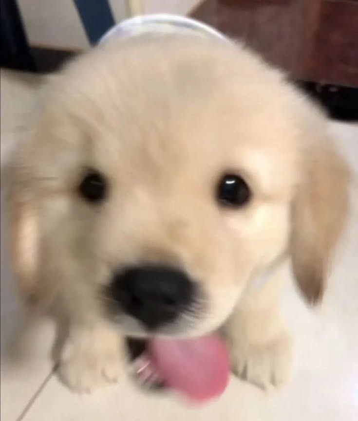 nom nom nom :p