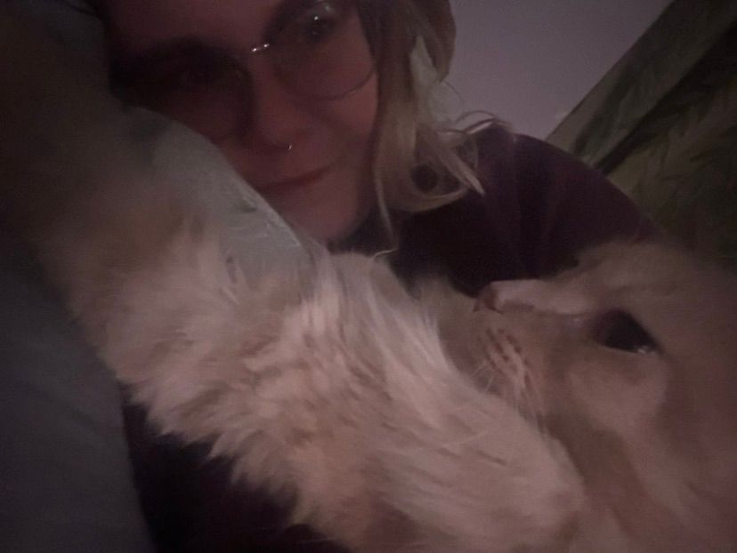 Hello hello!