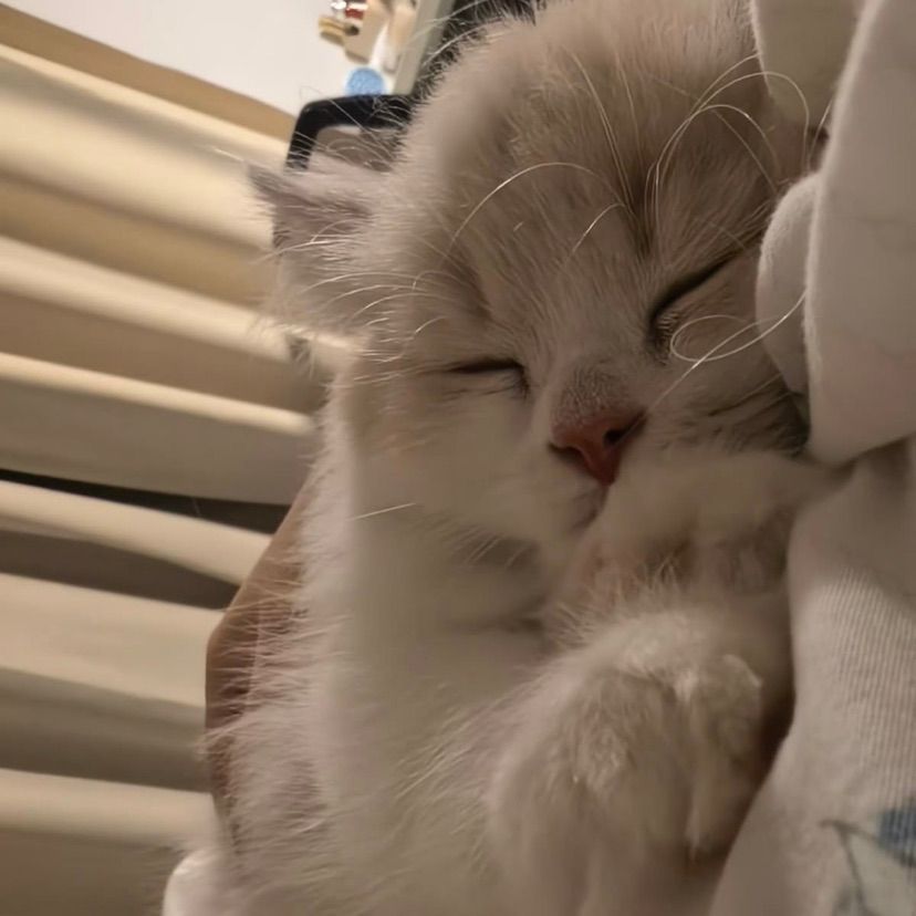 sleepy