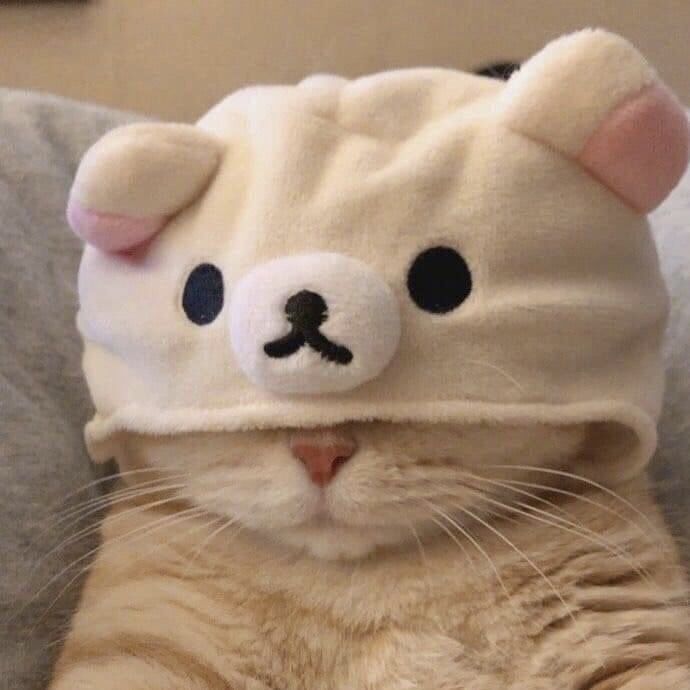 hai^^