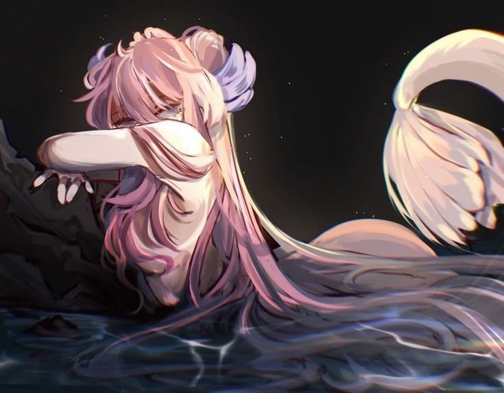 swim, swim