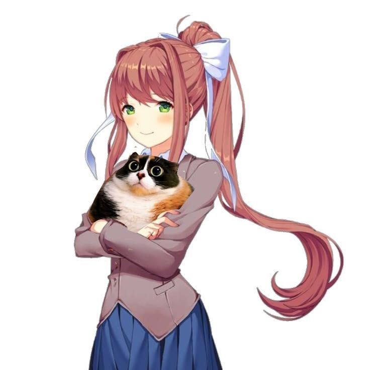 gatito