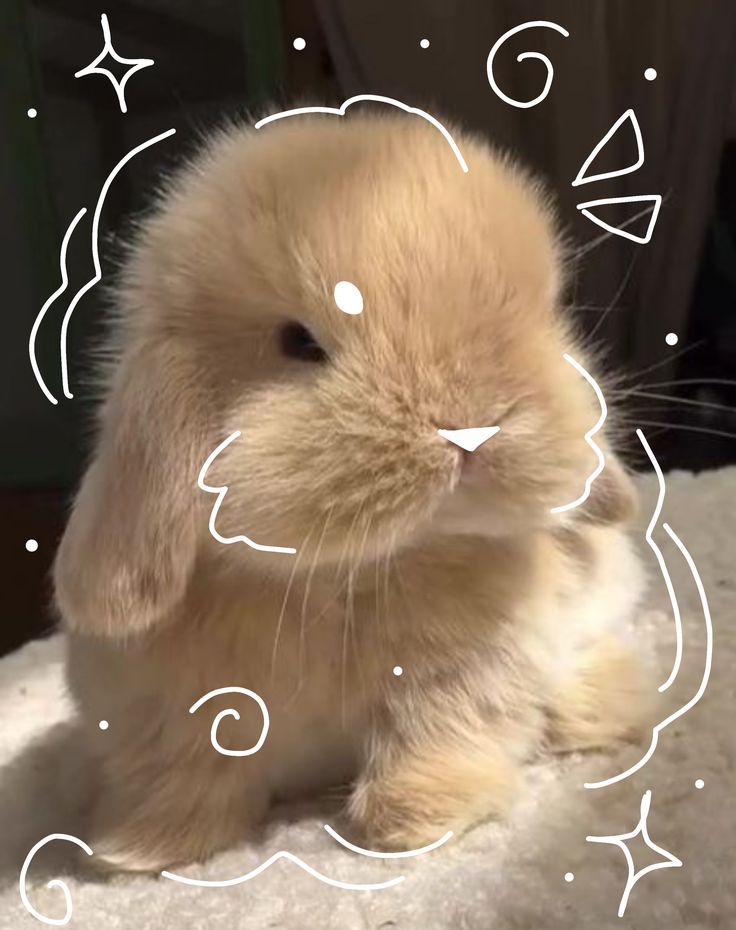 ૮꒰ ྀི >⸝⸝⸝< ྀི꒱ა