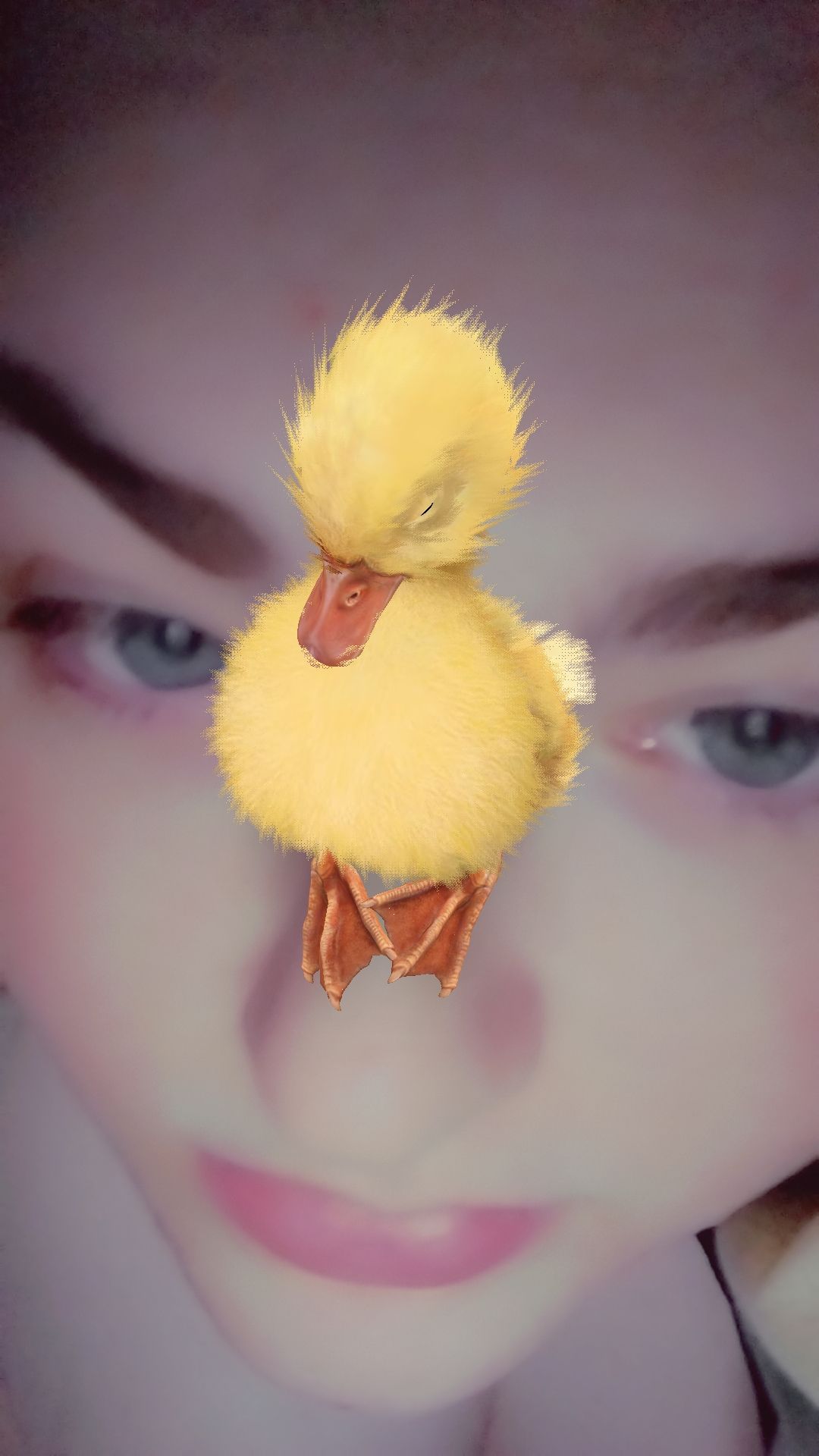 come play with me and my chicken, nugget