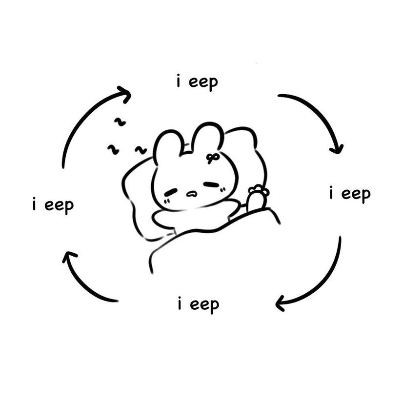 Today’s mood ⡞⠳⣄⣀⣠⠞⢷ ֹ۪