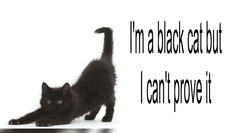Meowning everyone