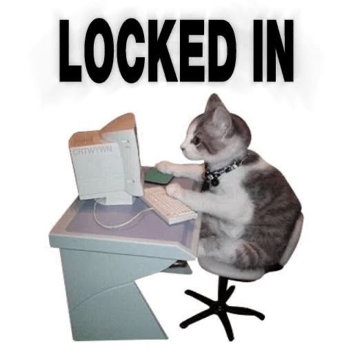 Me on ma computah talking to people online hehe