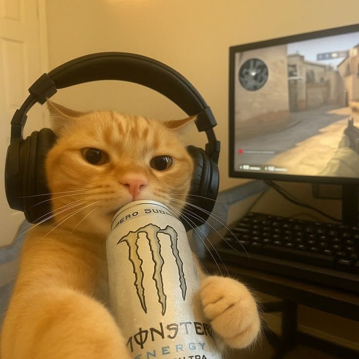 uwu