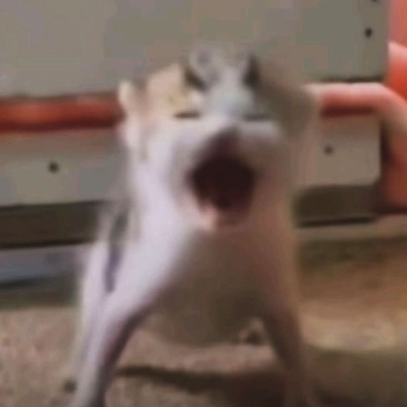 I wanna play minecraaaaft
