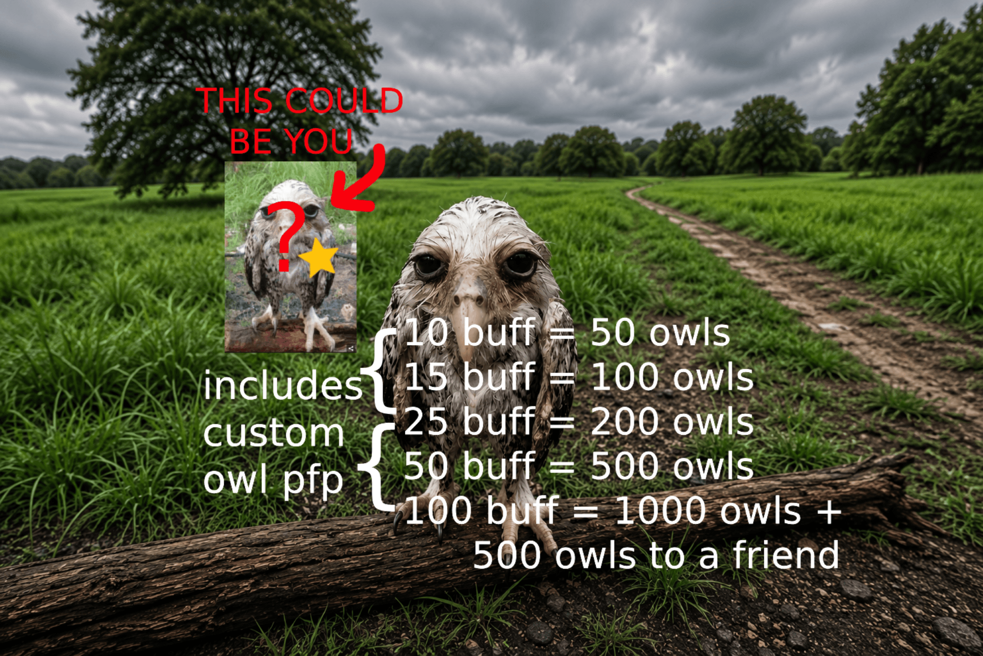 nonchalant owl sale (i guess)