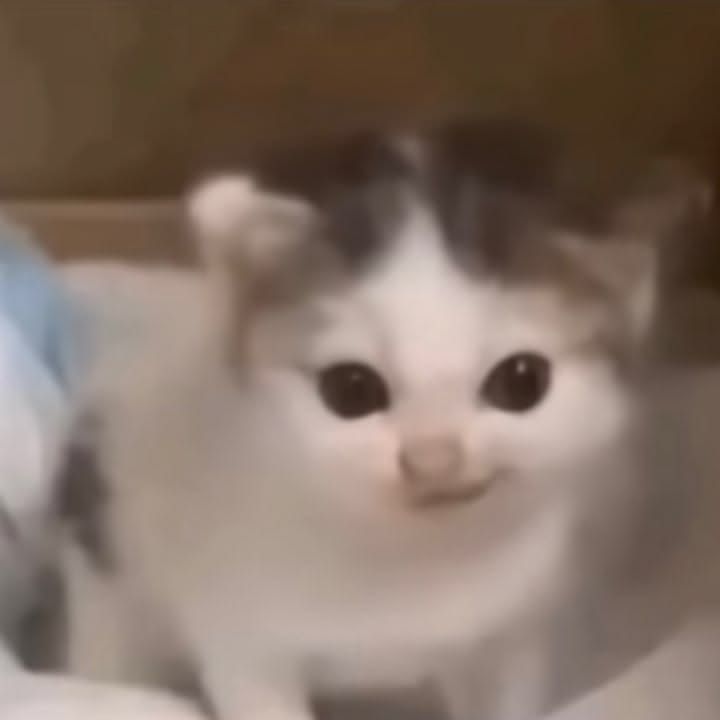 hallo :D