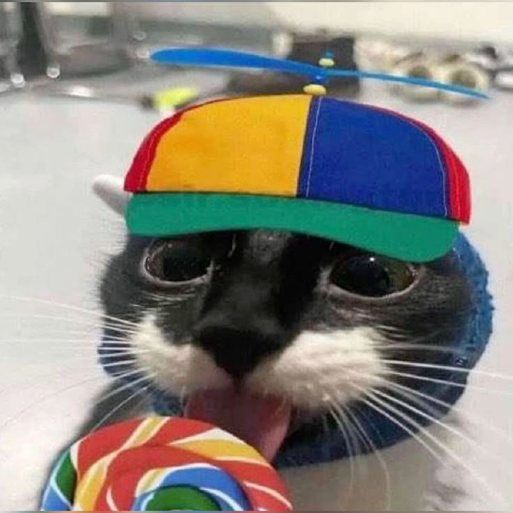 heyya!