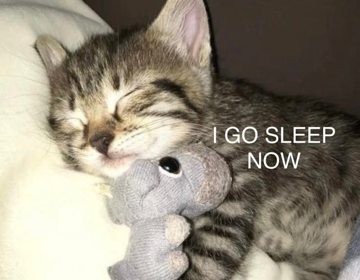 eepy time?
