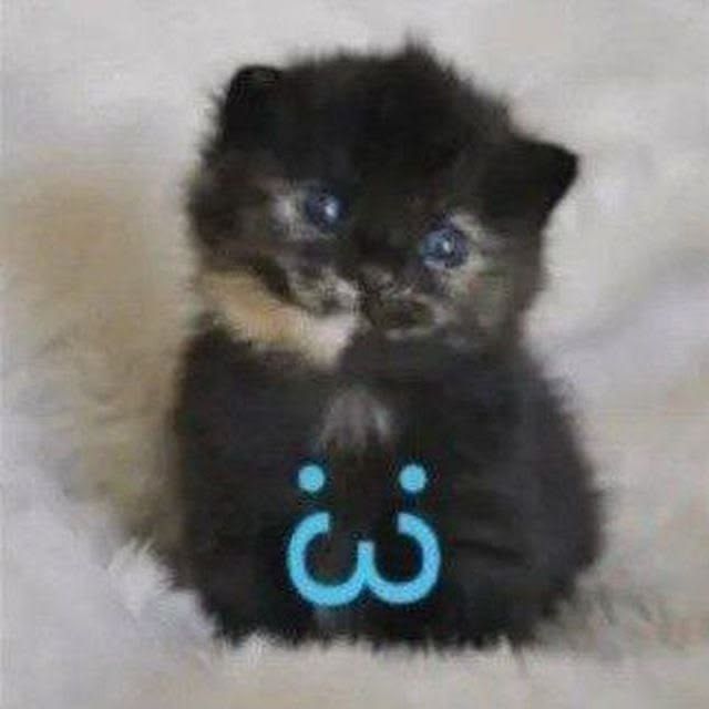 :3