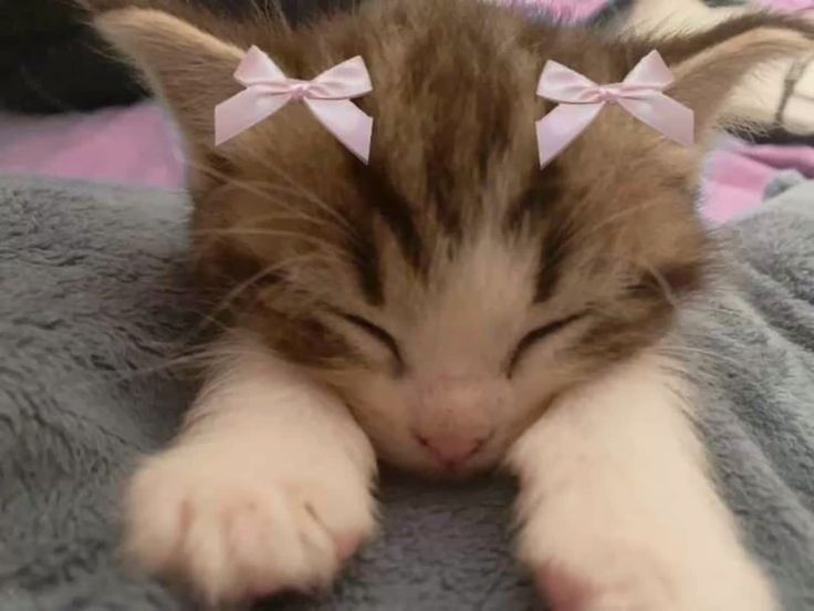 🎀