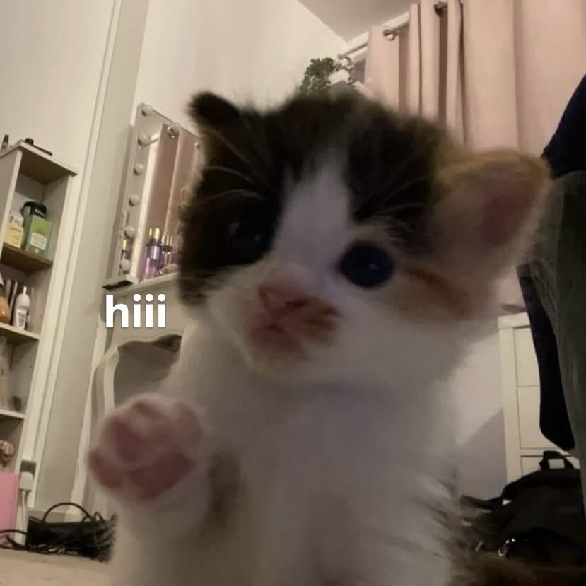 hihi
