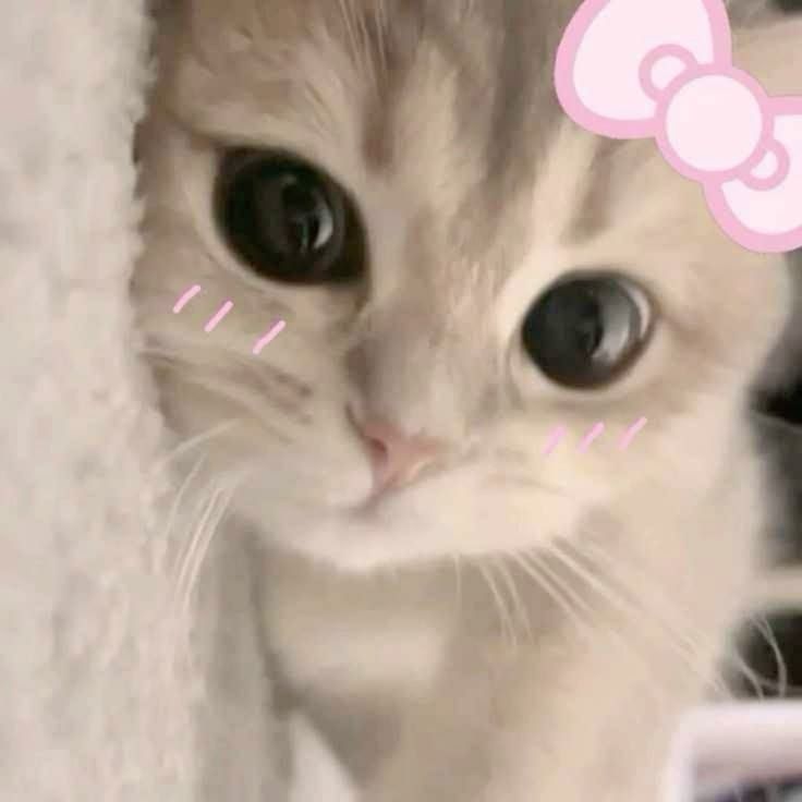 🎀