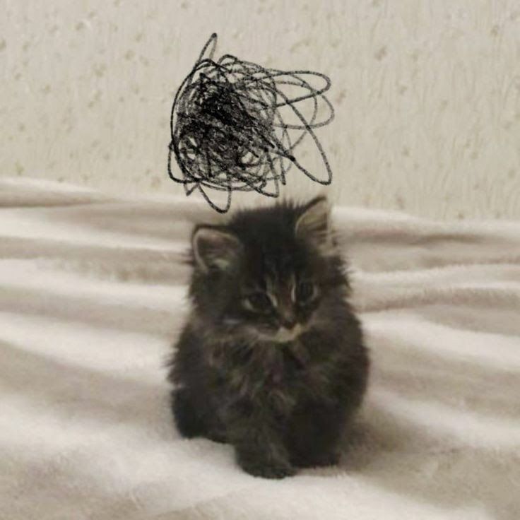 😺