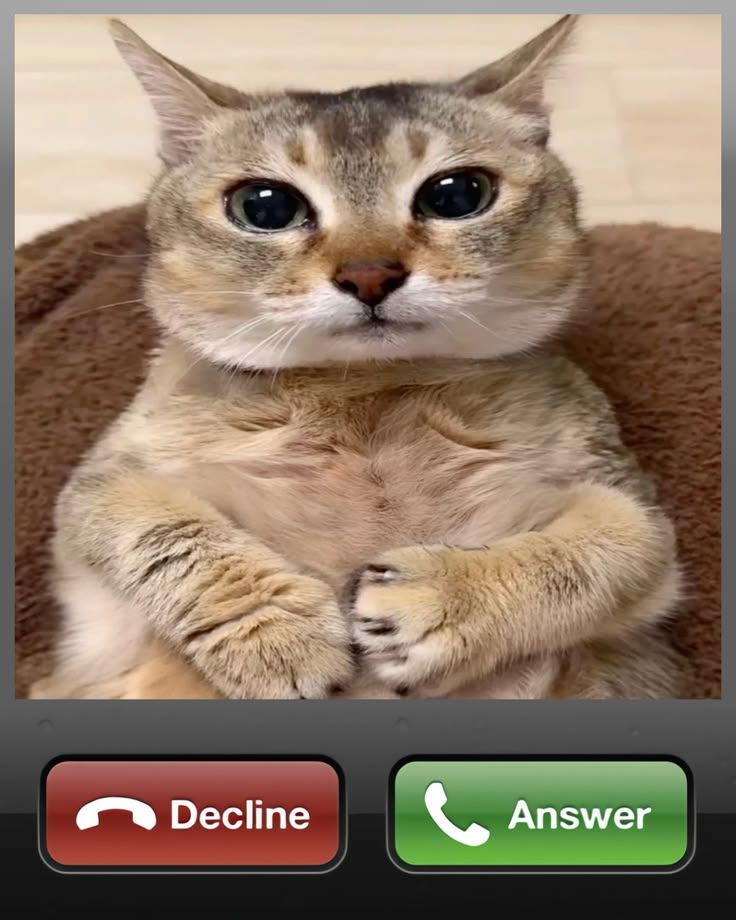 decline or answer ??