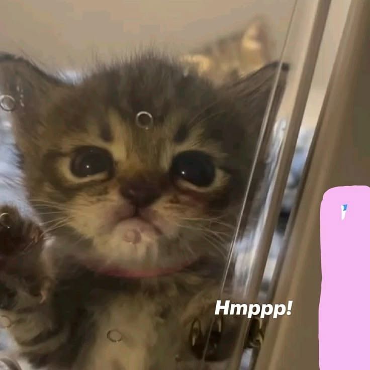 💕