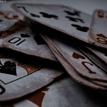 ᝰ.ᐟ